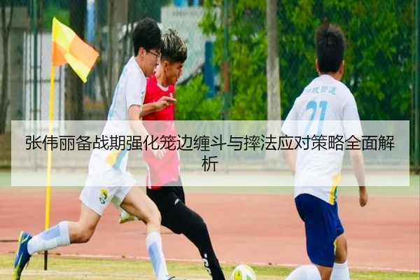 张伟丽备战期强化笼边缠斗与摔法应对策略全面解析